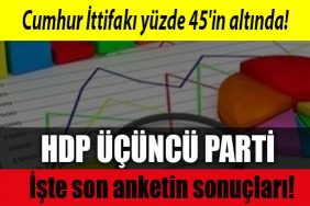 anket sonuclari 2023