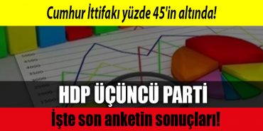 anket sonuclari 2023