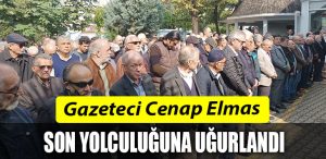 cenap elmas 1