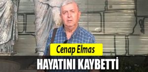 cenap elmas