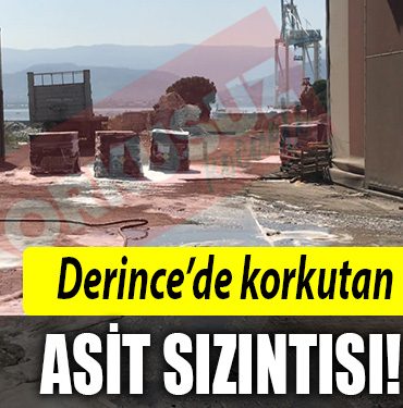 derince asit