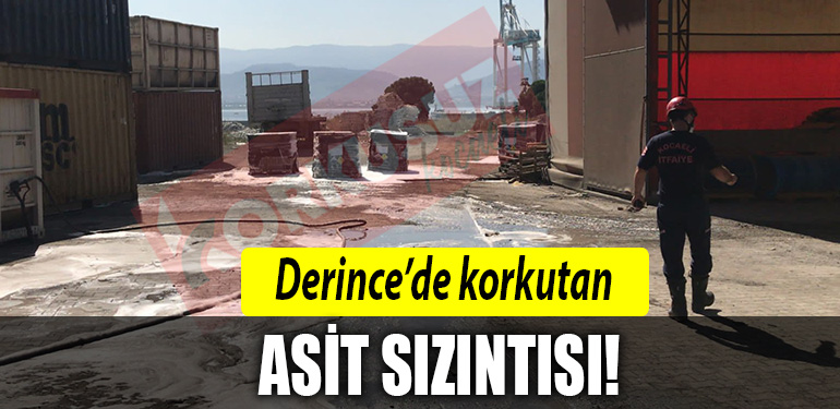 derince asit