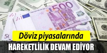 doviz piyasa ekonomi
