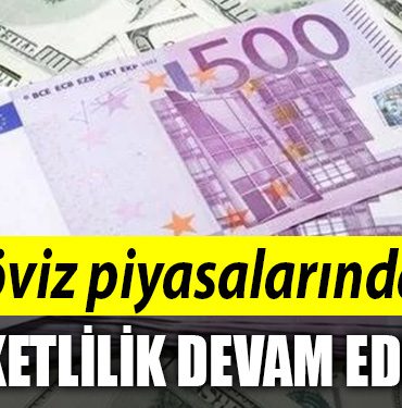doviz piyasa ekonomi
