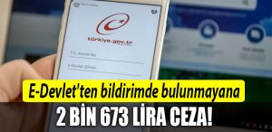 e devlet