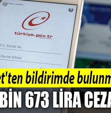 e devlet