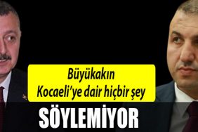 engn tasdemir buyukakin