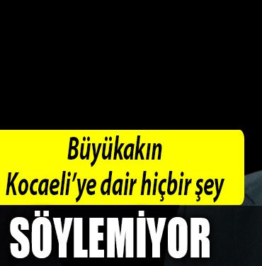 engn tasdemir buyukakin