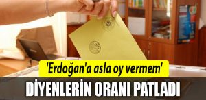 erdogan oy
