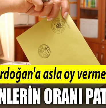 erdogan oy