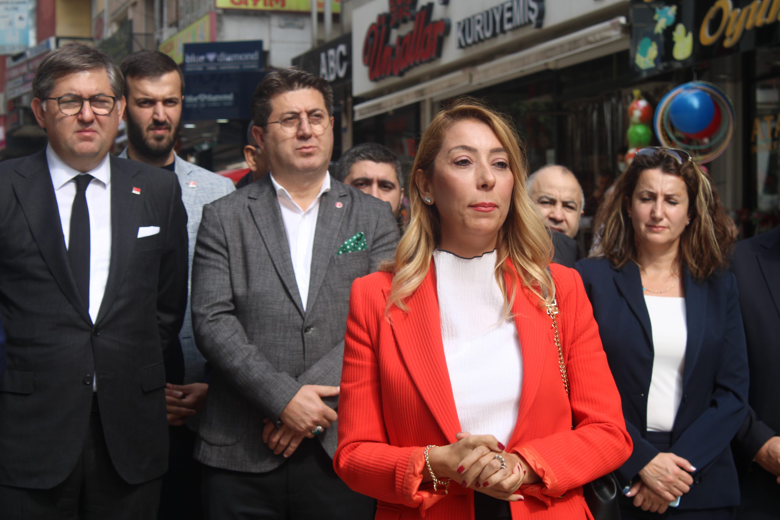 feyza olgac saribay