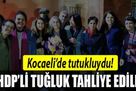 hdp aysel tugluk