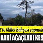 izmit fuar