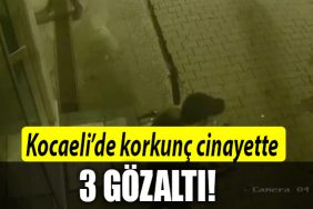 kocaeli cinaye