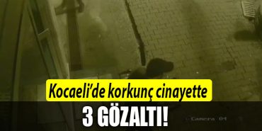 kocaeli cinaye
