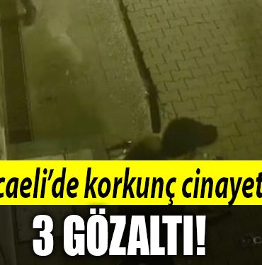 kocaeli cinaye