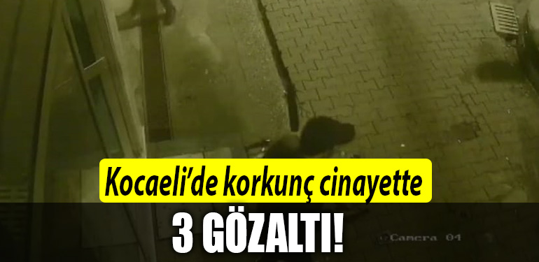 kocaeli cinaye