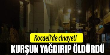 kocaeli cinayet