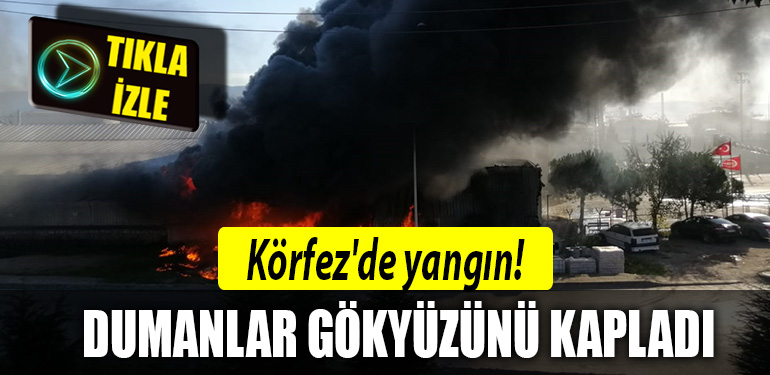 kocaeli korfez yangin