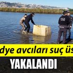 kocaeli midye avcilari