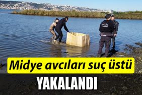 kocaeli midye avcilari