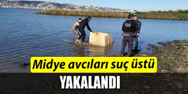 kocaeli midye avcilari