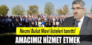 koto necmi bulut