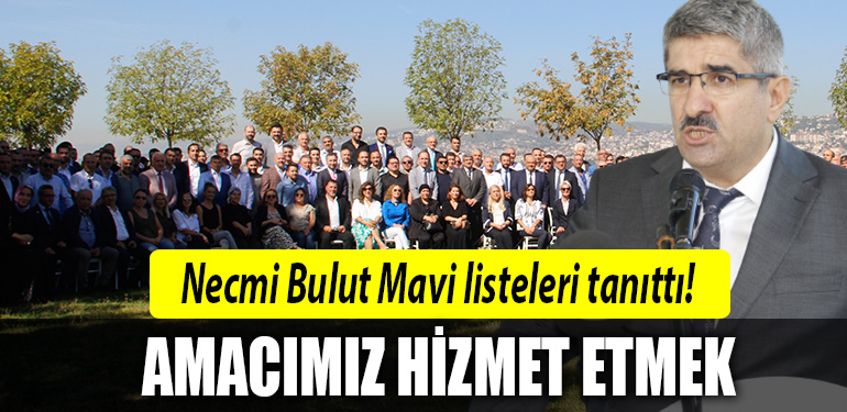 koto necmi bulut