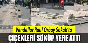 rauf orbay sokak