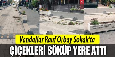 rauf orbay sokak