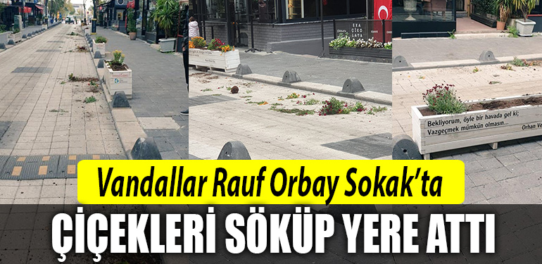rauf orbay sokak