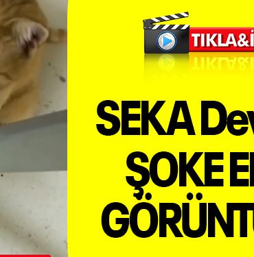 seka devlet kocaeli