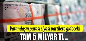 siyasi partiler