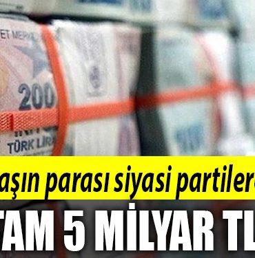 siyasi partiler