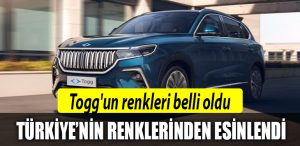 togg renkler