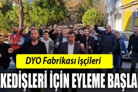 DYOFABRIKA