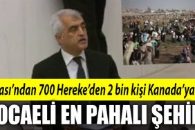 HDP KOCAELI GERGERLIOGLU