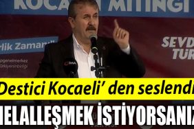 KOCAELI MUSTAFA DESTICI