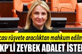 akp emine zeybek