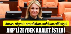 akp emine zeybek