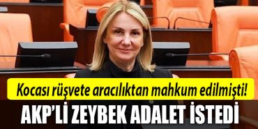 akp emine zeybek