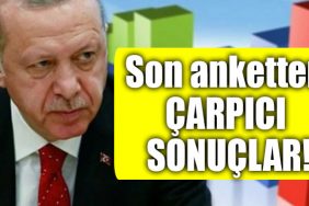 anket erdogan