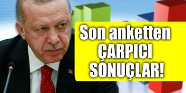 anket erdogan