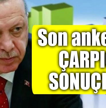 anket erdogan