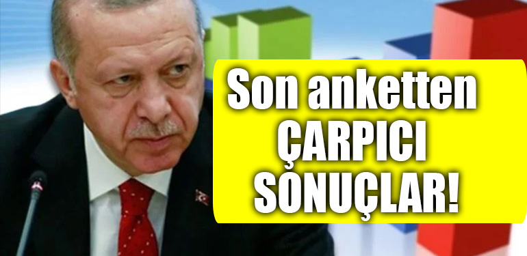 anket erdogan