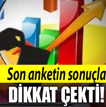 anket secim