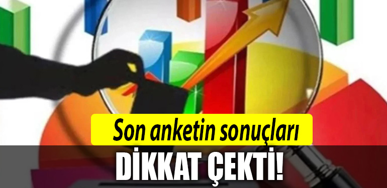 anket secim