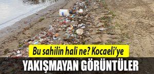 basiskele sahil kocaeli