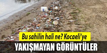 basiskele sahil kocaeli