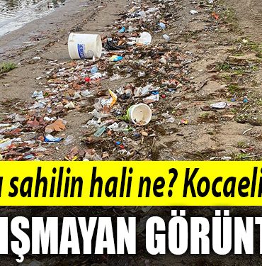 basiskele sahil kocaeli